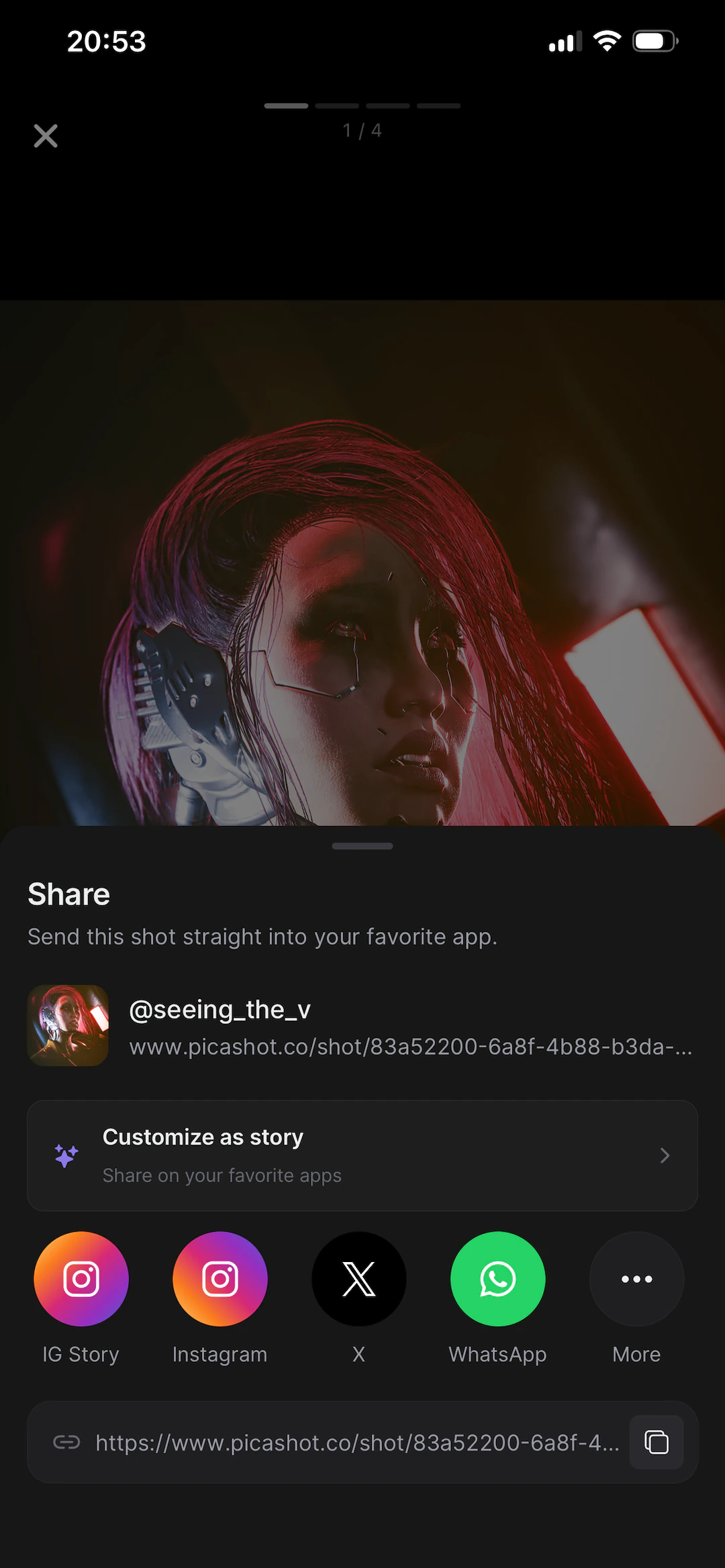 Picashot, the sharing a photo screen